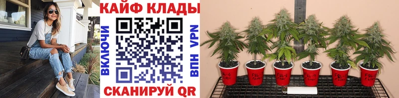 Цена Тарко-Сале Alpha-PVP  АМФЕТАМИН  ГАШИШ  Меф 