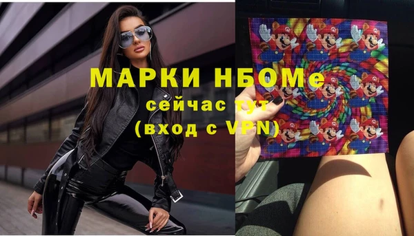 молекула духа Надым