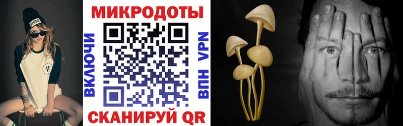 даркнет сайт  Тарко-Сале  Галлюциногенные грибы Magic Shrooms 